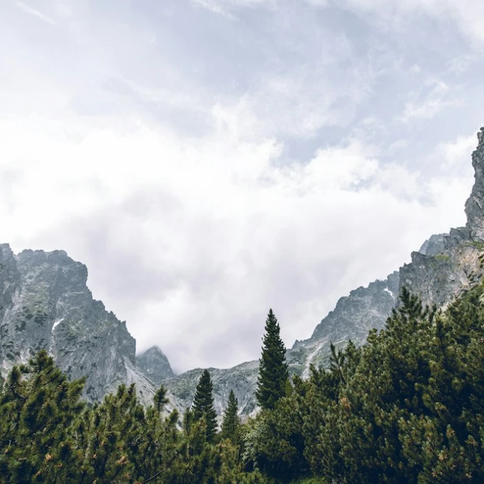 Discover Slovakia's Most Breathtaking Scenic Walkways