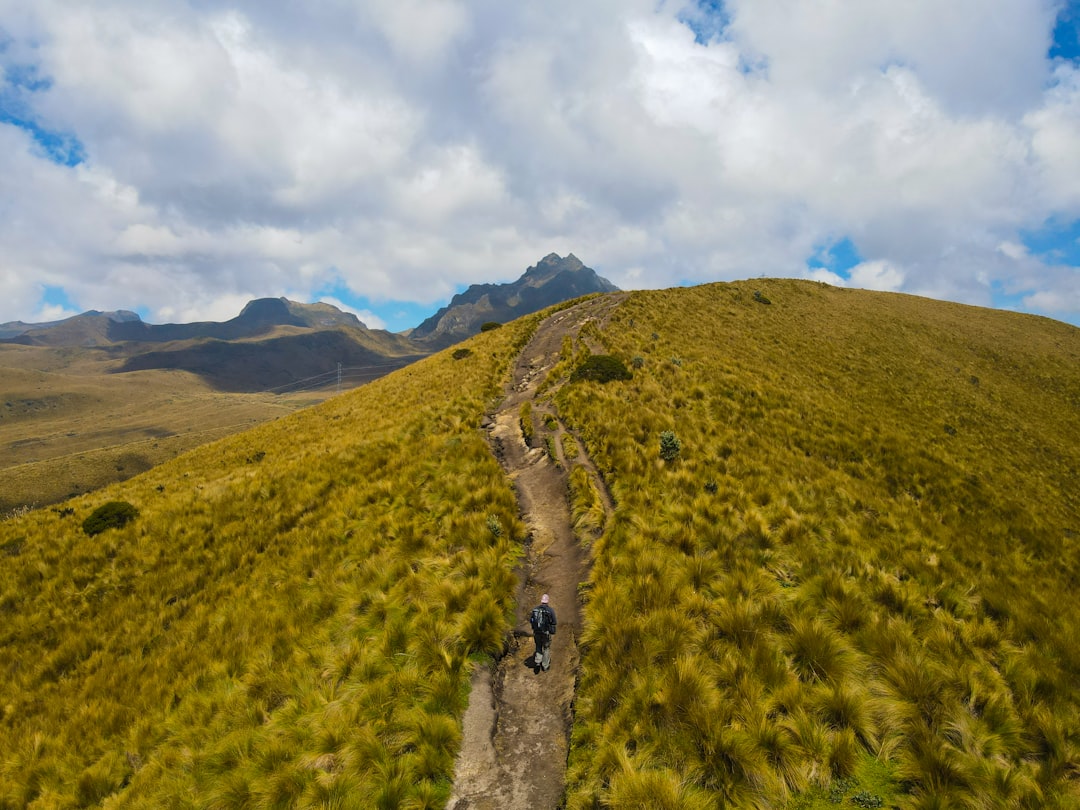 Discover Authentic Ecuadorian Crafts: Your Ultimate Guide to Where to Buy