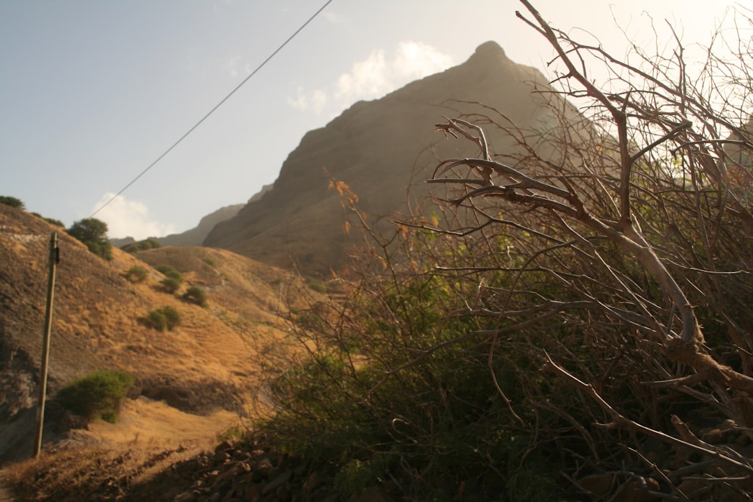 How to Get a Local SIM Card and Data in Cape Verde: Your Essential Guide