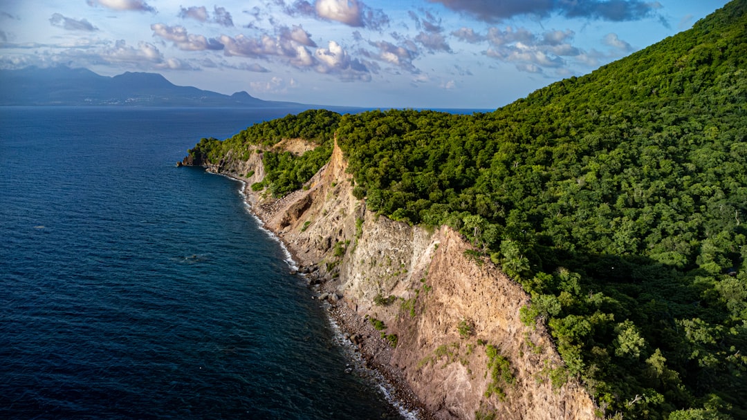 Discover Guadeloupe's Public Libraries: Your Essential Guide to Local Resources