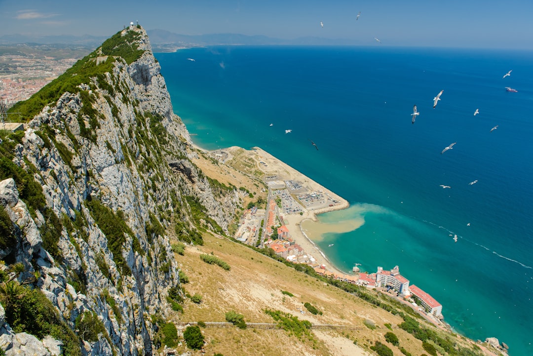 The Best Places for Wildlife Spotting in Gibraltar