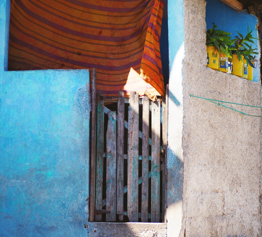 Indulge Your Senses: Exploring Haiti's Best Local Chocolate Shops