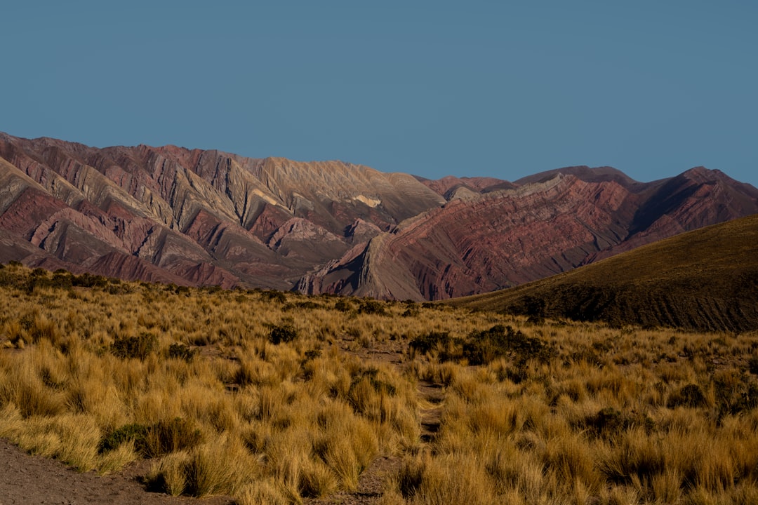 Unforgettable Journeys: Discovering Argentina's Most Scenic Train Rides