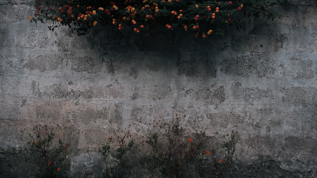 How to Find the Best Accommodation Deals in Georgia