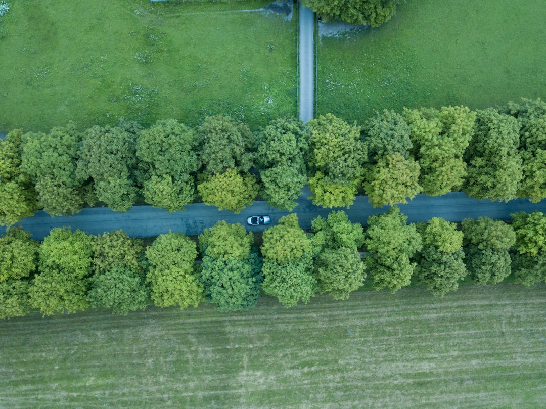 The Ultimate Germany Road Trip: Your Essential Guide to Driving Abroad