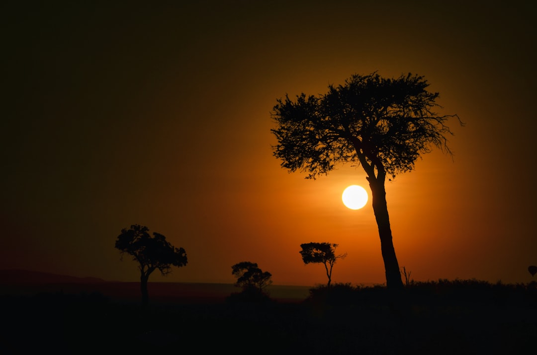 Authentic Kenya Travel: Go Beyond Tourist Trails for a Local Experience