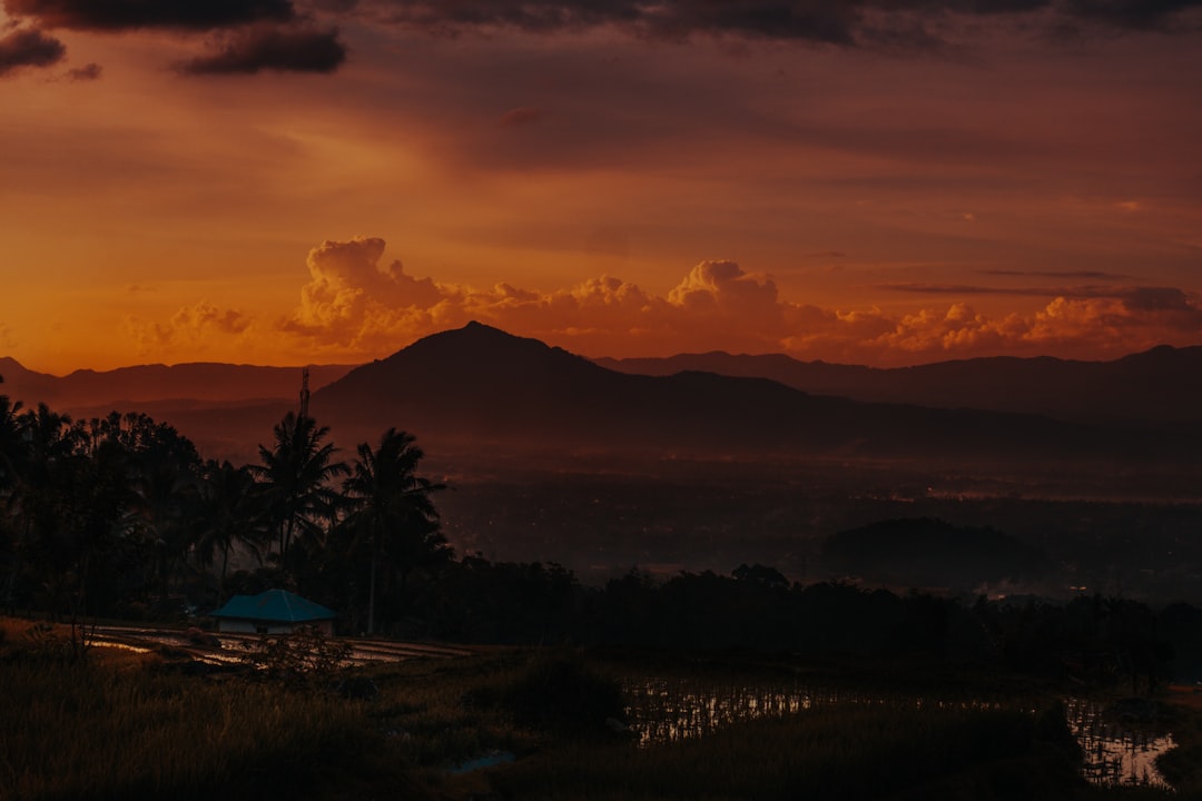 Travel Indonesia Like a Local: Your Go-To Guide for Essential Bahasa Indonesia Phrases