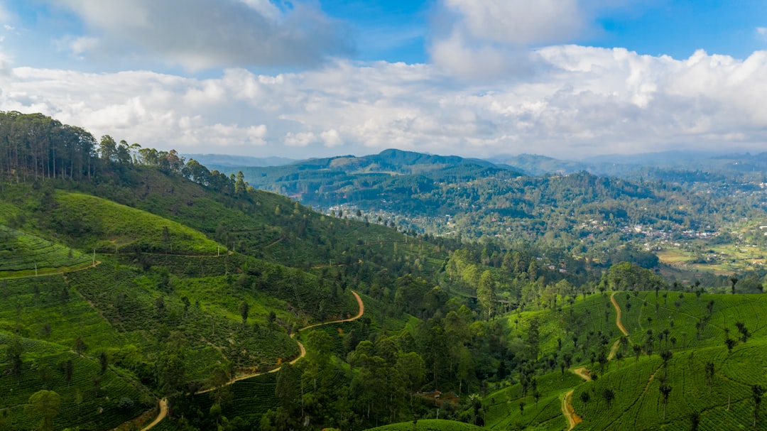The Best Beaches in Sri Lanka for Sun, Surf, and Sand