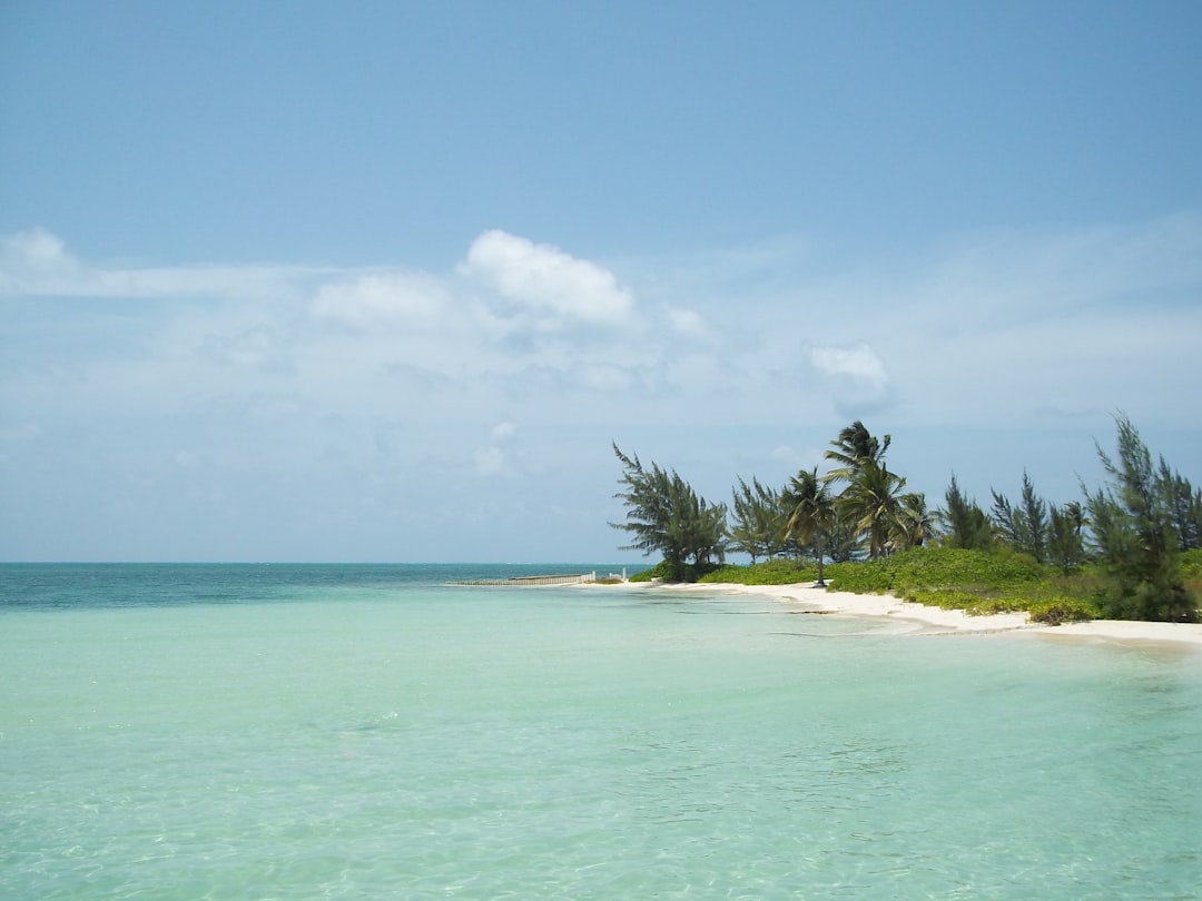 Discover Your Culinary Journey: Finding the Best Local Cooking Classes in the Cayman Islands