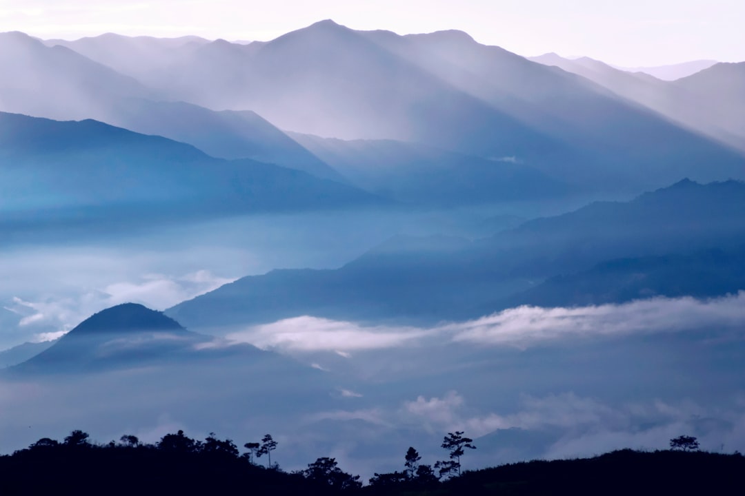 Unplug & Recharge: Top Digital Detox Destinations in Ecuador