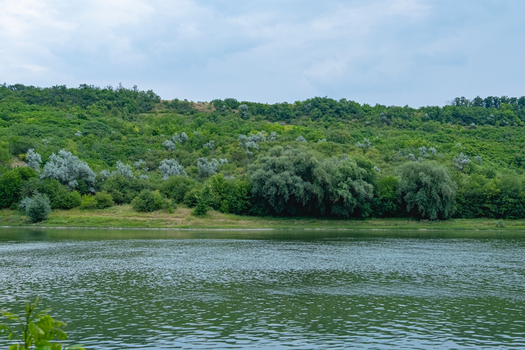 Discover Moldova's Aquatic Wonders: A Guide to the Most Captivating City Fountains