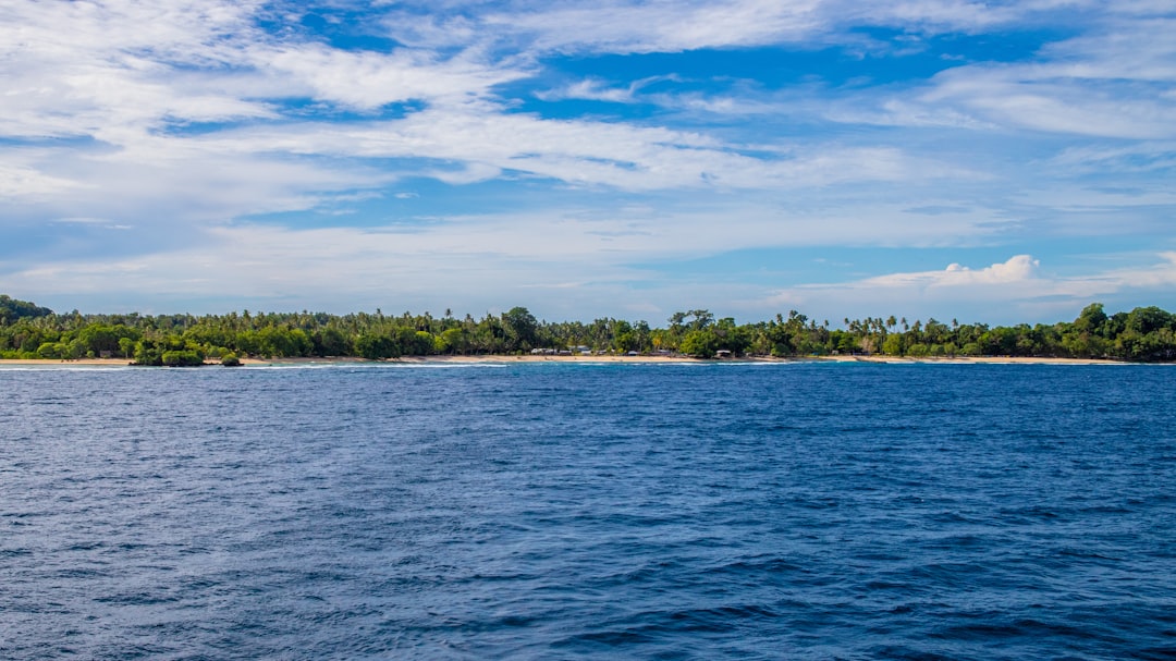 Indulge Your Senses: Discovering Papua New Guinea's Finest Local Chocolate Shops