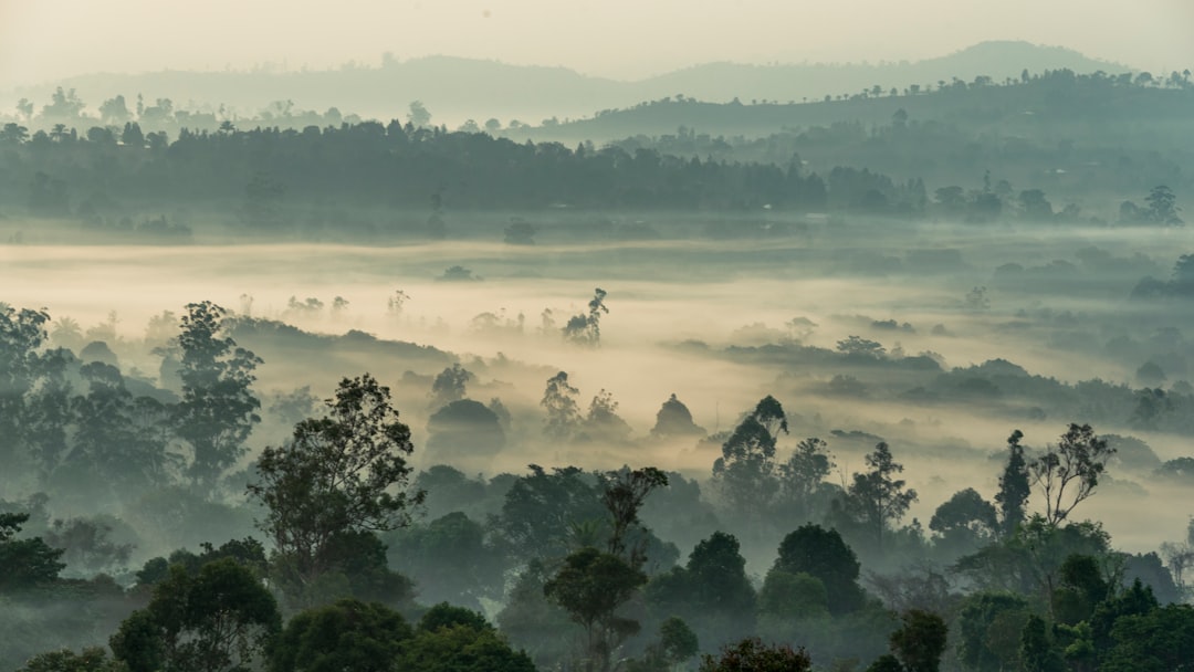 Cameroon Summer Travel Guide: Beat the Heat and Explore the Best!