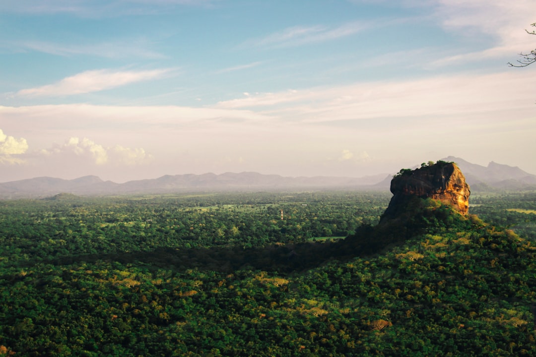 Discover Sri Lanka's Best Spice Markets: A Guide to Authentic Flavours