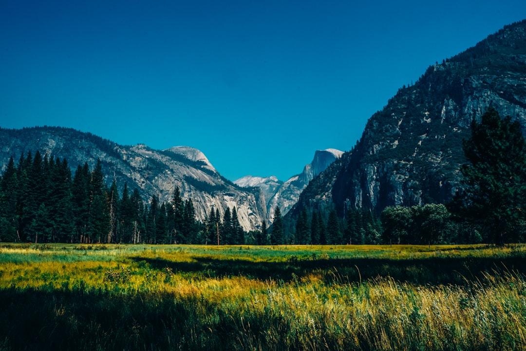 Unearthing Authentic American Souvenirs: Your Ultimate Guide to Local Finds