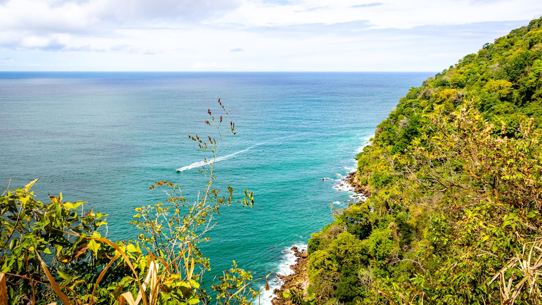 Discover the Sweetest Secrets: Unearthing the Best Local Bakeries in the Caribbean