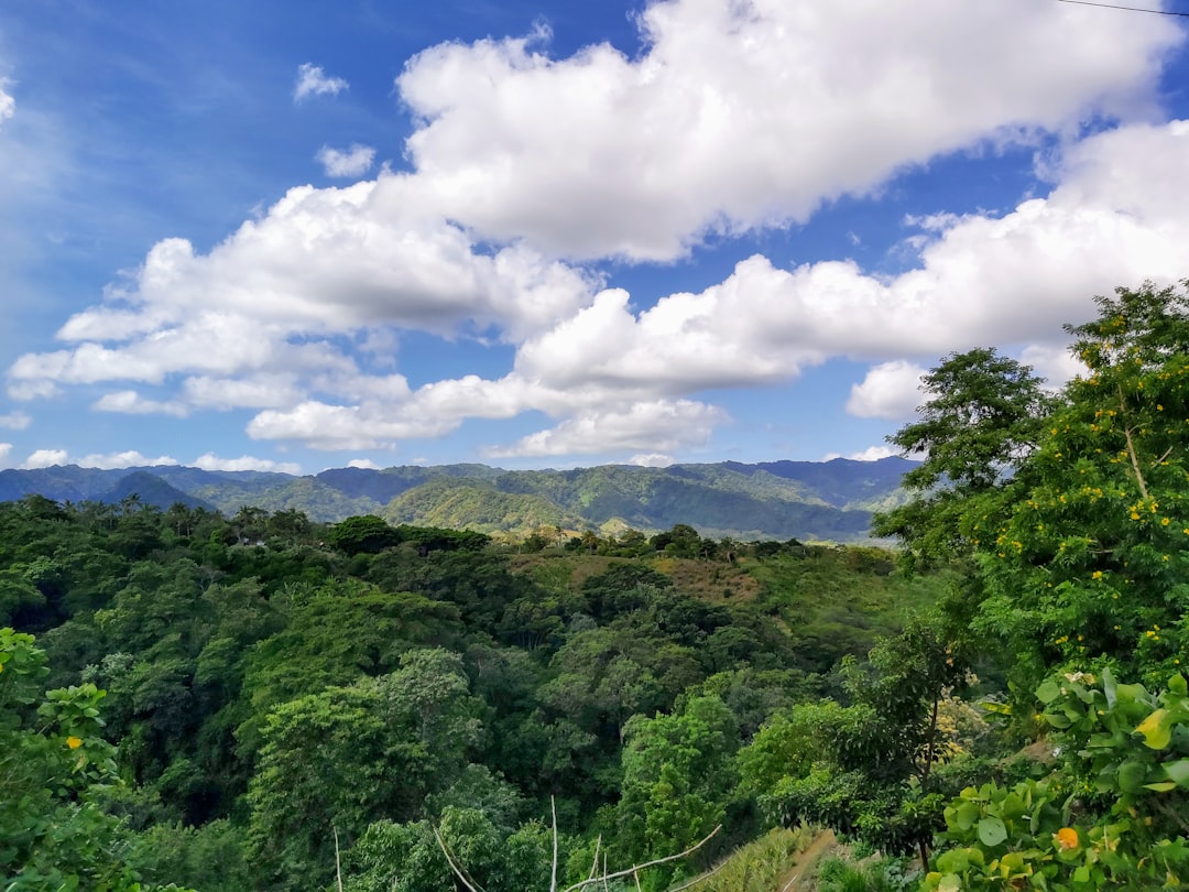 Discover Nicaragua's Best Local Fish Markets: A Guide to Fresh Seafood