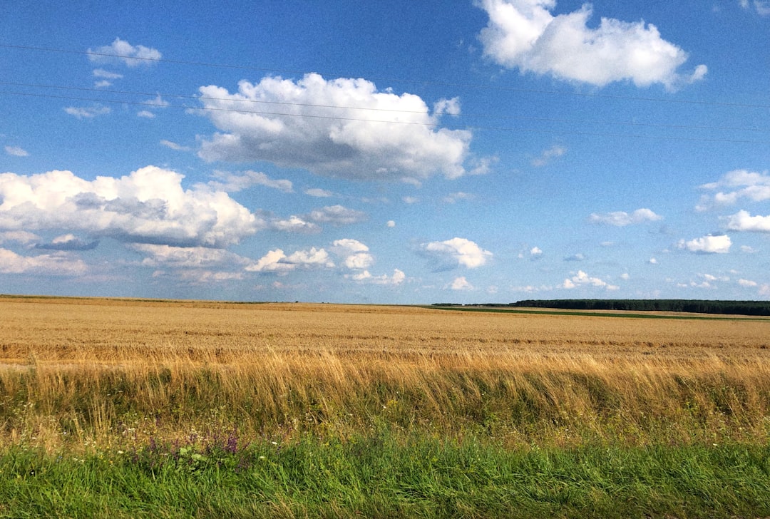 Ukraine Travel Cost: Is Ukraine Expensive? Your Ultimate Budget Guide