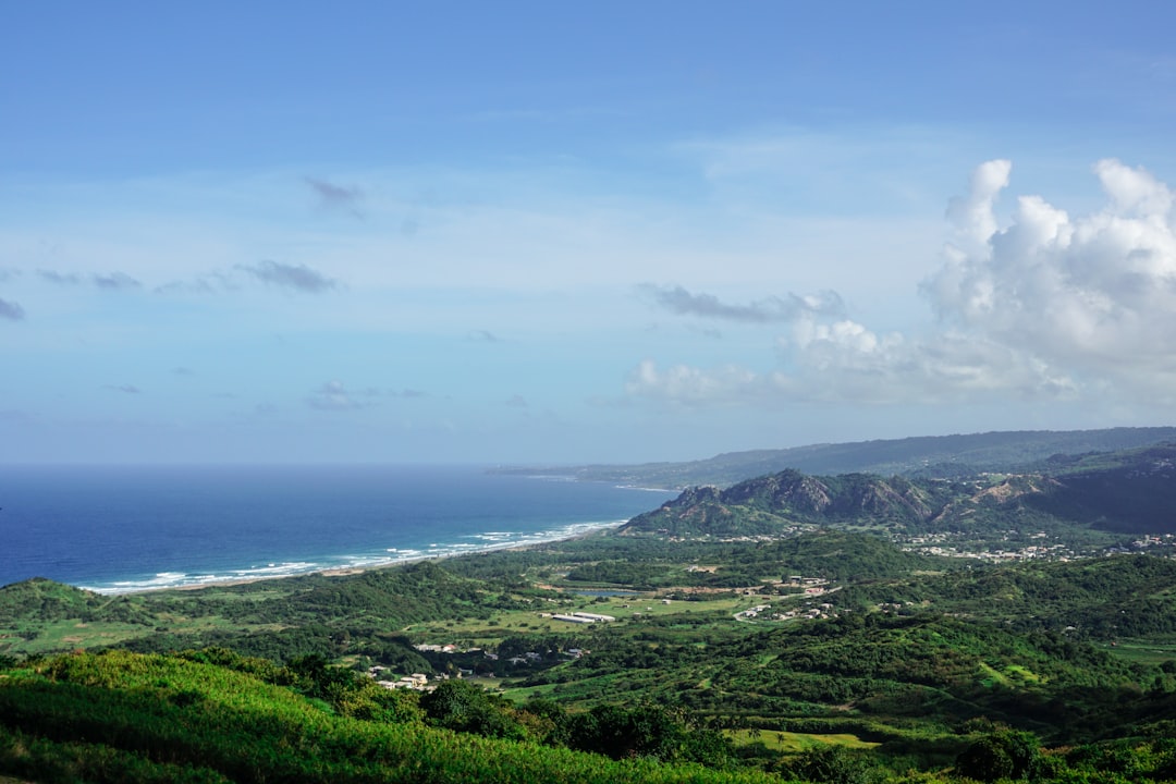 Your Essential Guide: How to Use Local Post Offices in Barbados