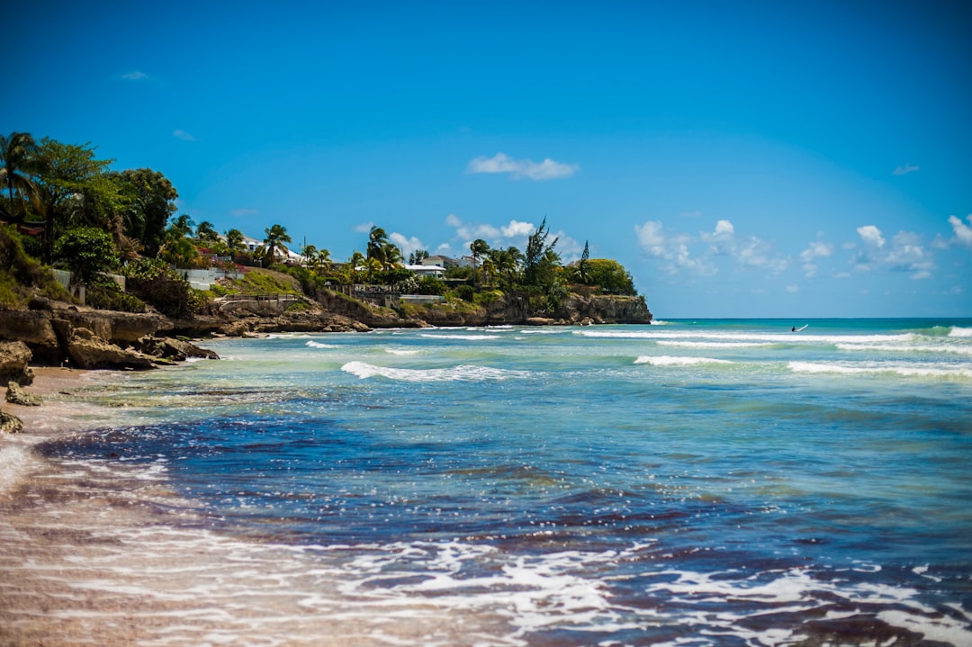 Unlock Barbados Flavors: Your Ultimate Guide to Local Supermarket Shopping