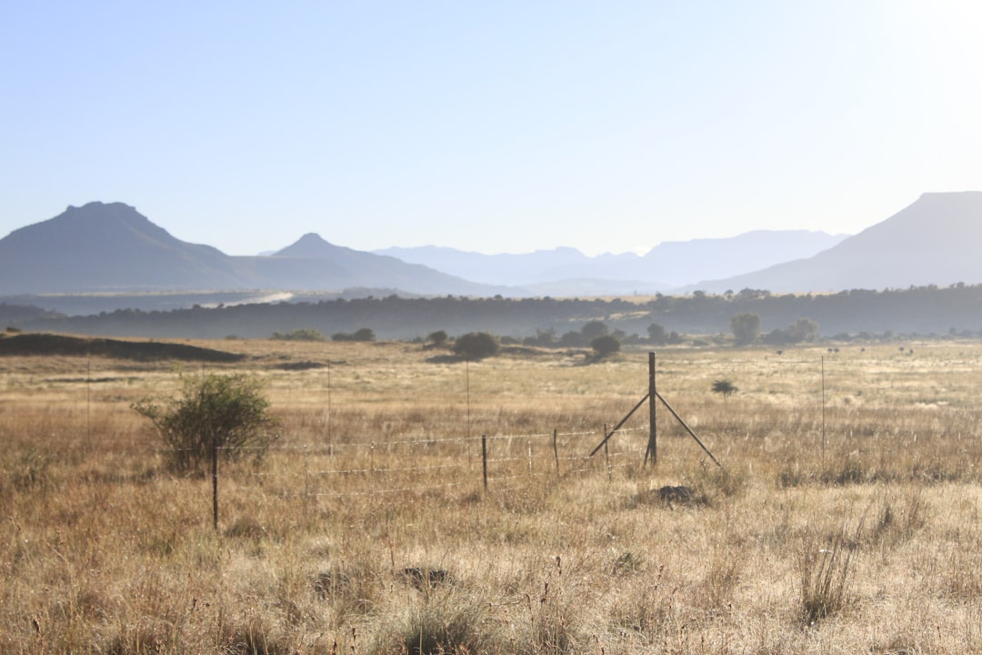 Discover the Blooming Beauty: Your Essential Guide to Lesotho's Vibrant Flower Markets