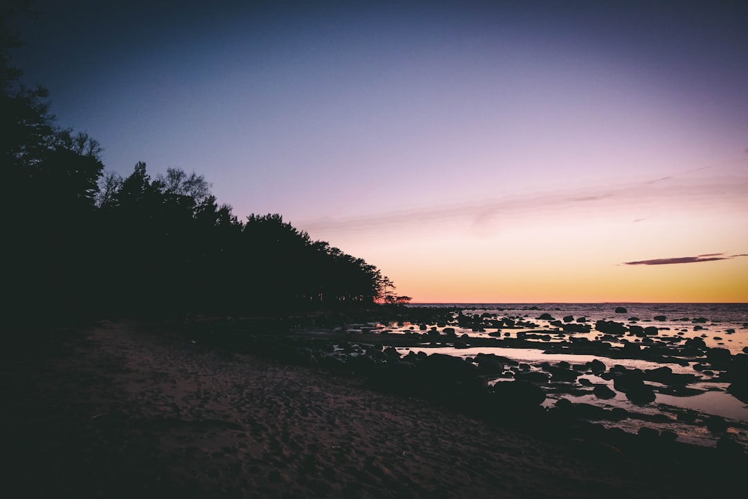 Your Essential Estonia Travel Companion: Must-Have Apps for a Smooth Digital Trip