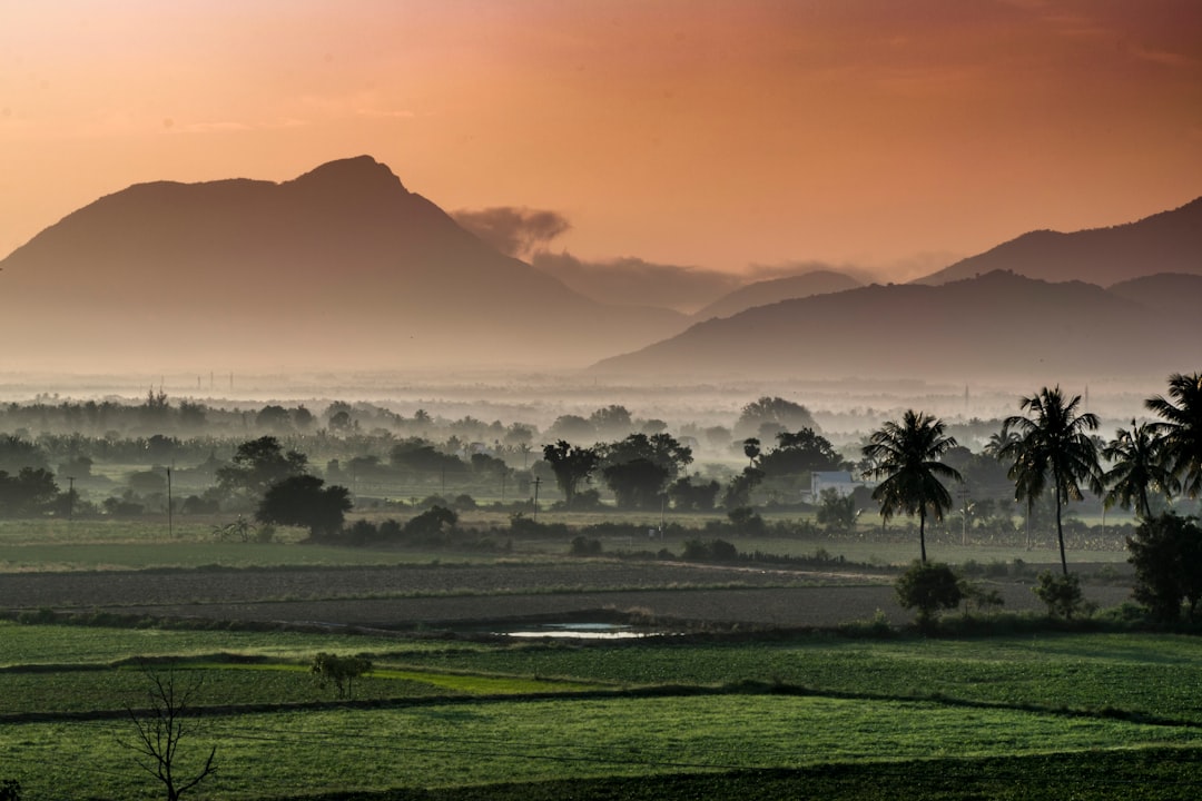 Discover Your Dream Vacation: Top 5 Luxury Resorts in India