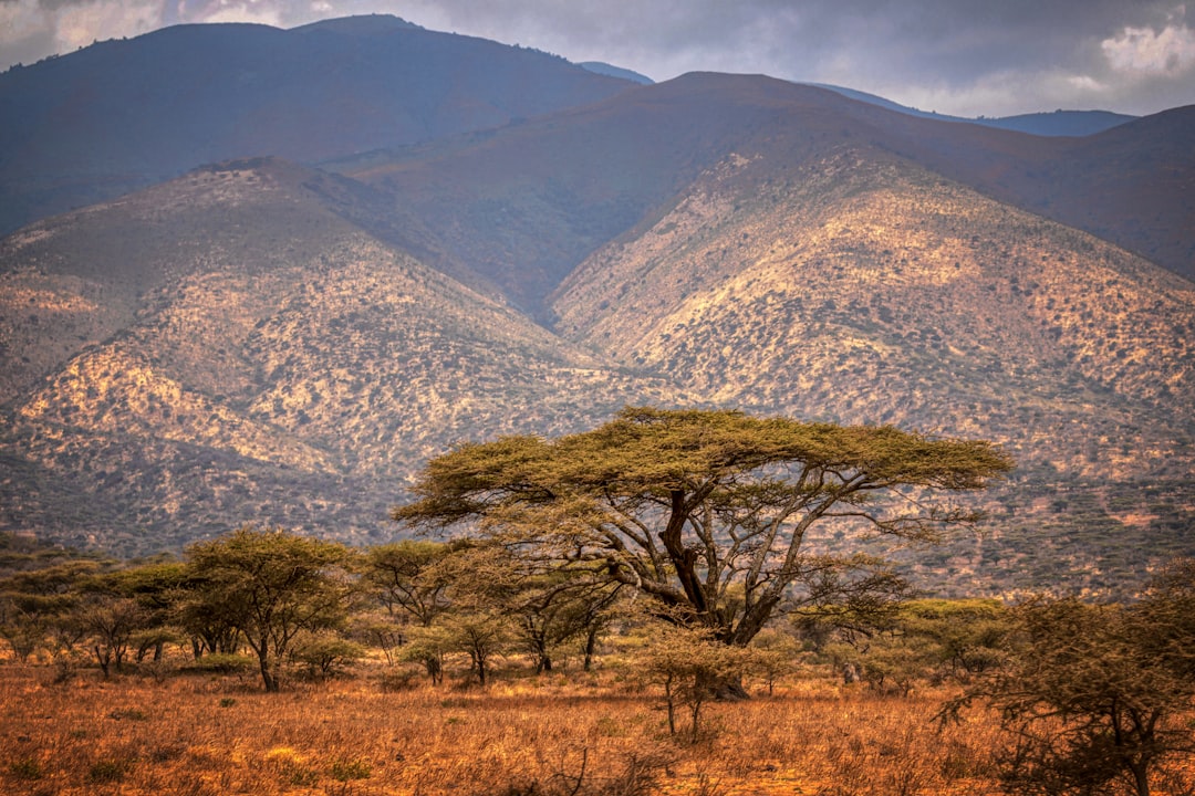 Top 7 Hidden Gems in Tanzania You Won't Find in Guidebooks
