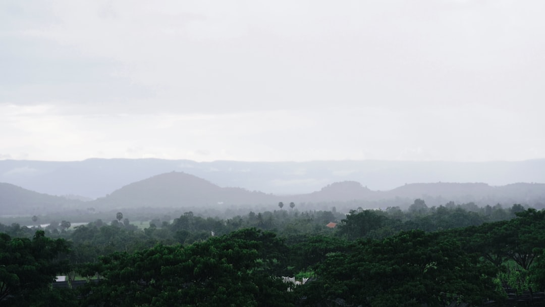 Untamed Cambodia: Your Ultimate Guide to Incredible Wildlife Spotting