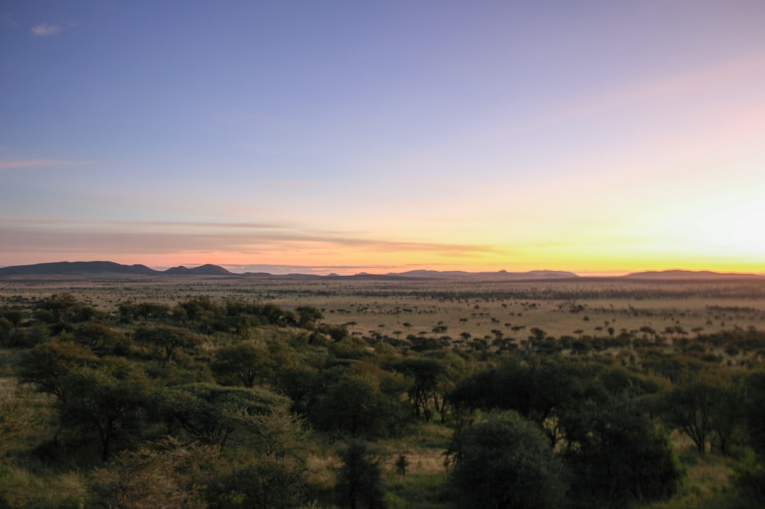 Unlocking Paradise: The Best Cities for Digital Nomads in Tanzania