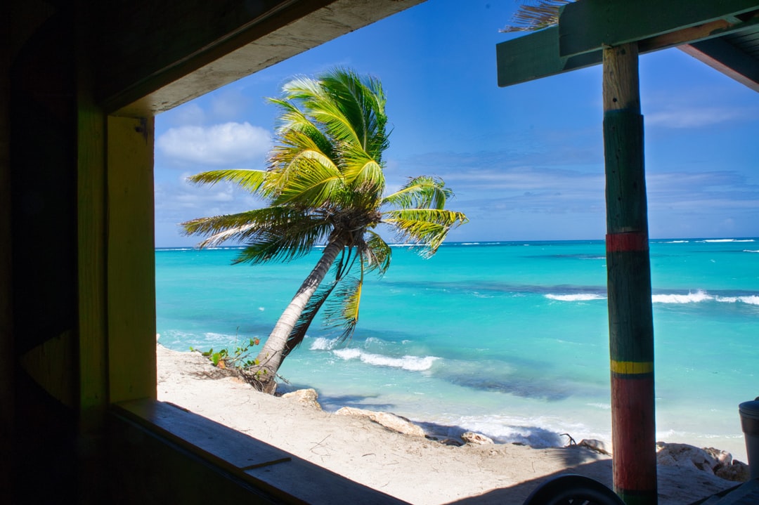 Ultimate Guide to the Best Bird Watching Spots in the Caribbean