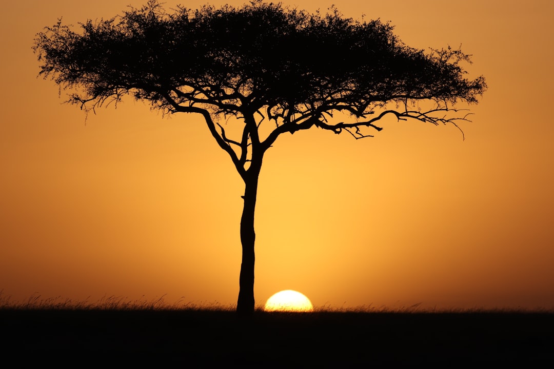 Discovering Kenya's Best Spa Treatments: Your Ultimate Local Guide