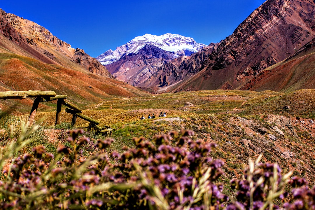 Discover Argentina's Most Serene Parks & Gardens: Your Ultimate Guide to a Relaxing Afternoon Escape