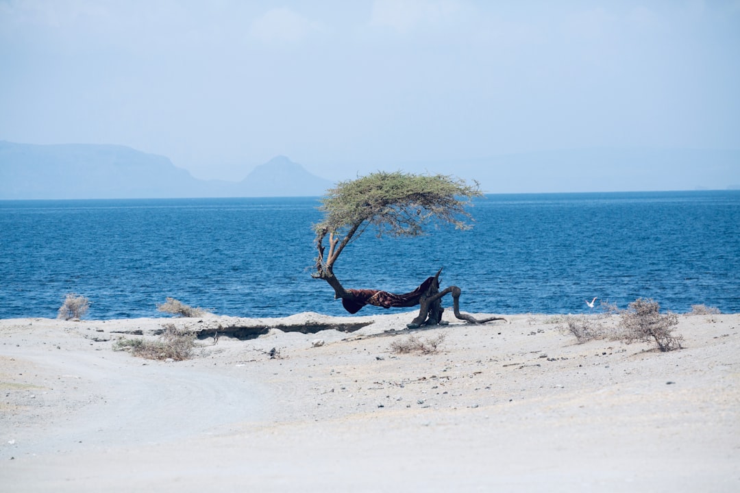 Why Ethiopia Should Be Your Next Winter Destination