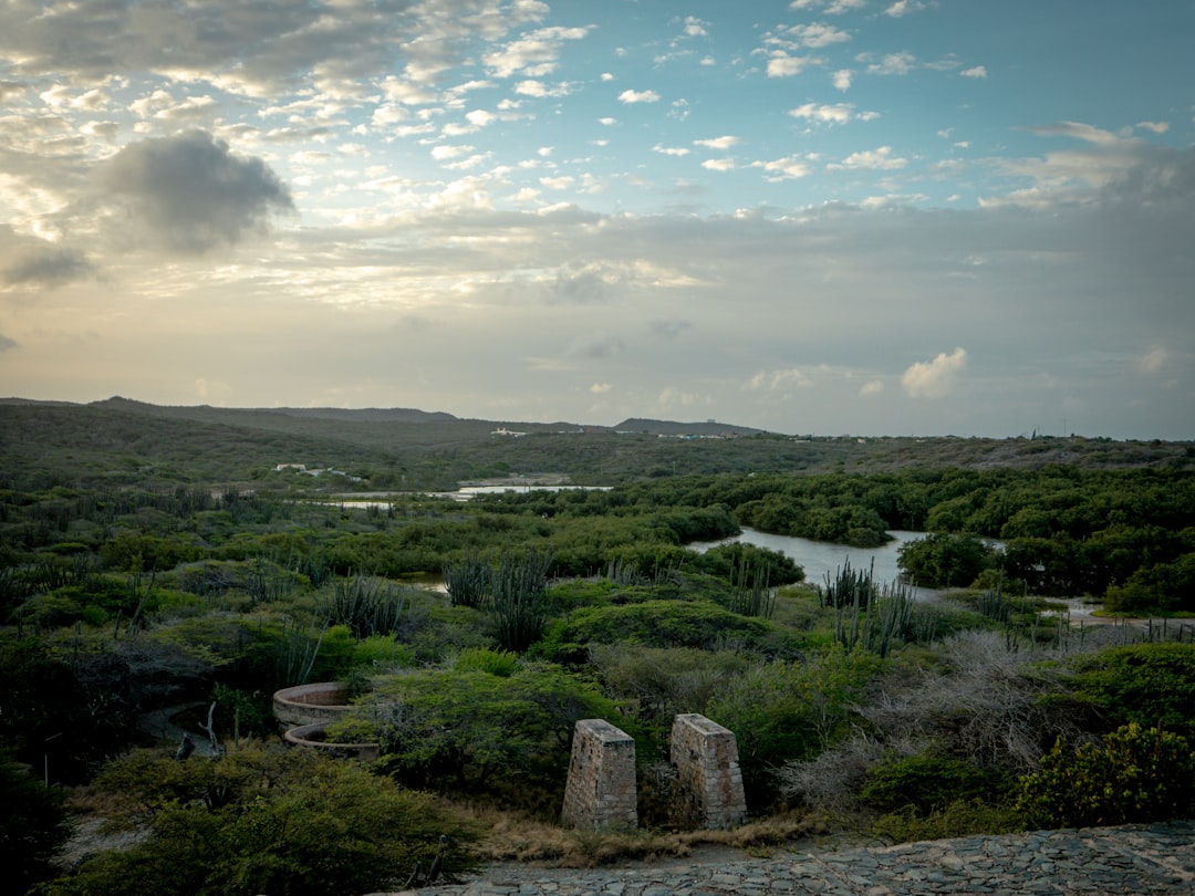 How to Experience Aruba’s Rich Literary History