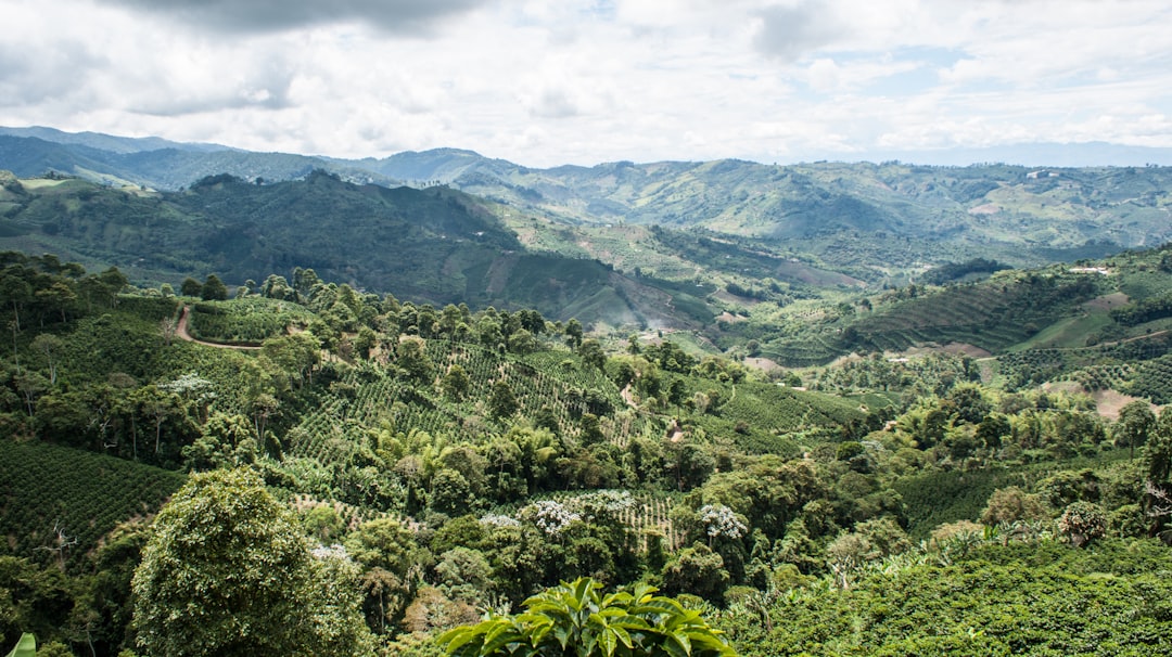 The Best Places for Stargazing and Night Photography in Colombia