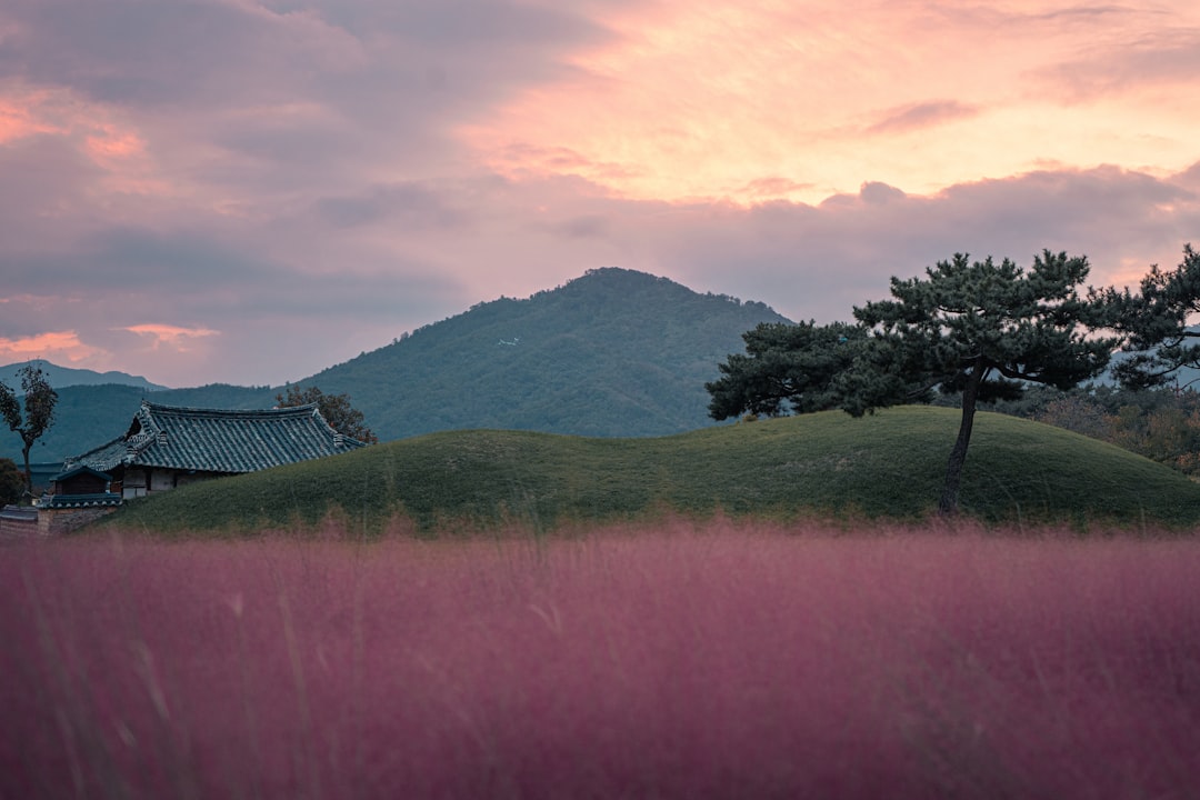 Conquer the Korean Summer Heat: Your Essential Guide to Visiting Republic of Korea