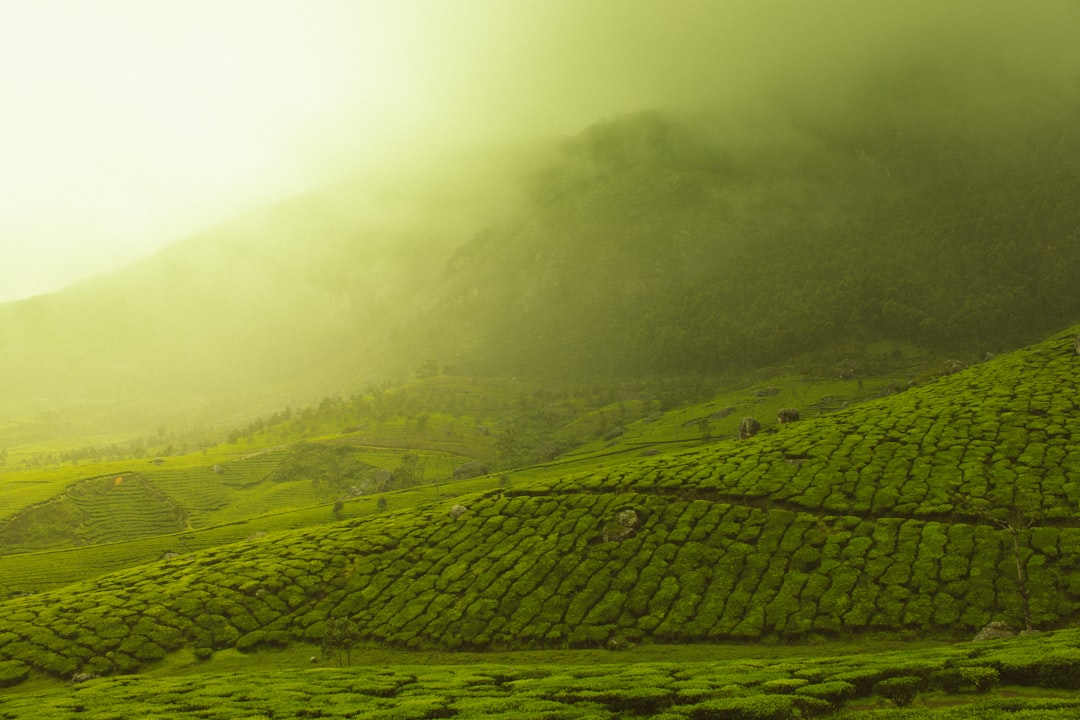 Discover India's Most Instagrammable Places: Your Ultimate Photo Guide