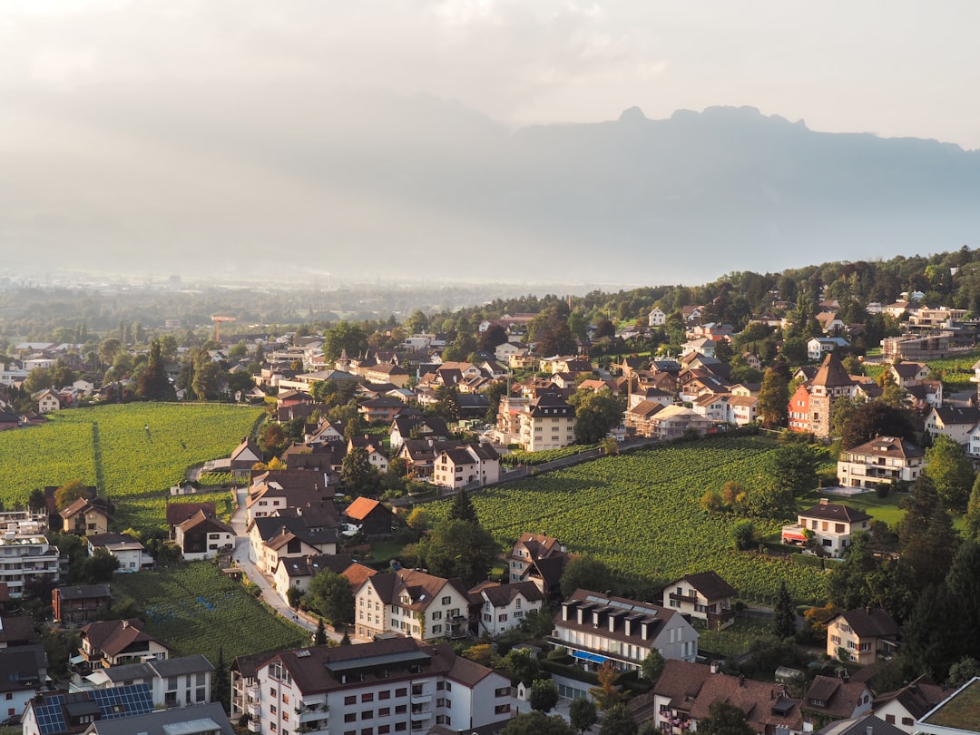 A Culinary Journey: Must-Try Traditional Dishes in Liechtenstein