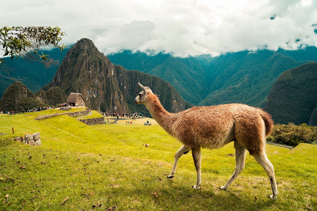 Mastering Money in Peru: Your Essential Guide to Soles & Smart Currency Exchange