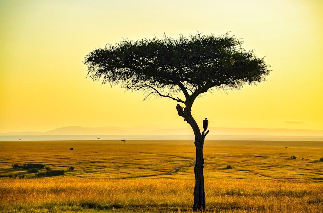 Africa's Iconic Waterways: A Journey Through Its Most Famous Canals