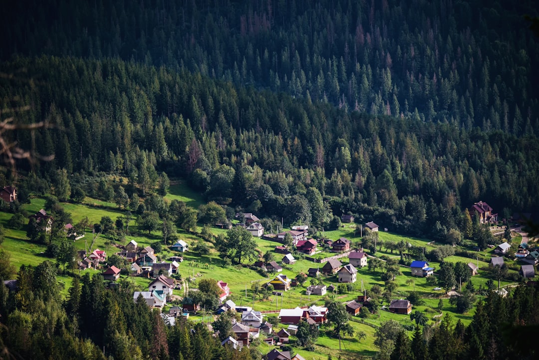 Discover Ukraine's Hidden Beauty: The Ultimate Guide to Scenic Drives