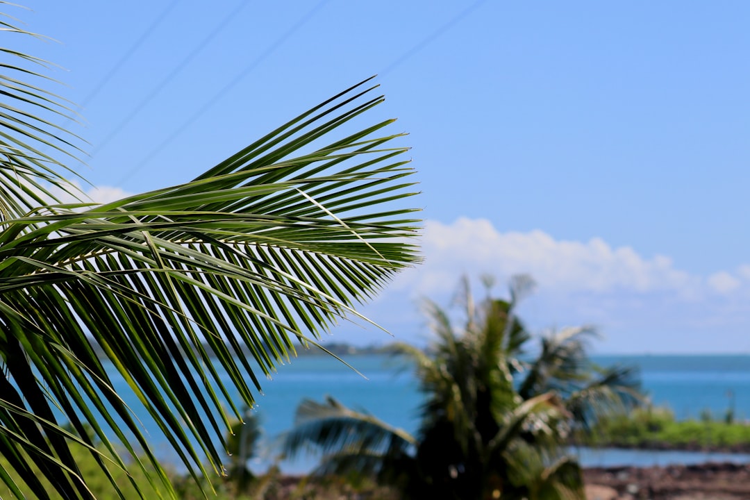 Samoa's Cultural Tapestry: Unveiling Unforgettable Traditional Festivals & Top Destinations