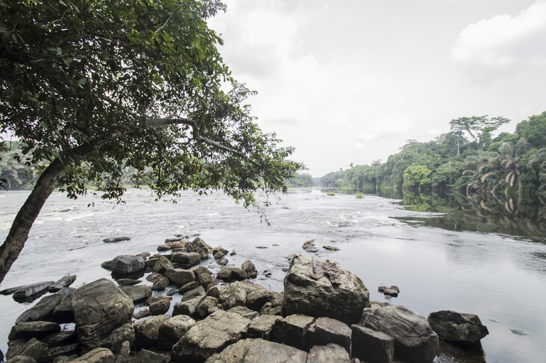 Discover Gabon's Hidden Gems: Unforgettable Day Trips from Its Major Cities