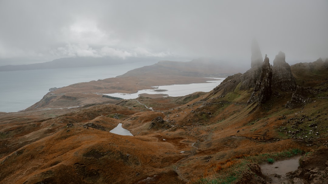 Isle of Man Wildlife Wonders: The Ultimate Guide to Top Spotting Locations