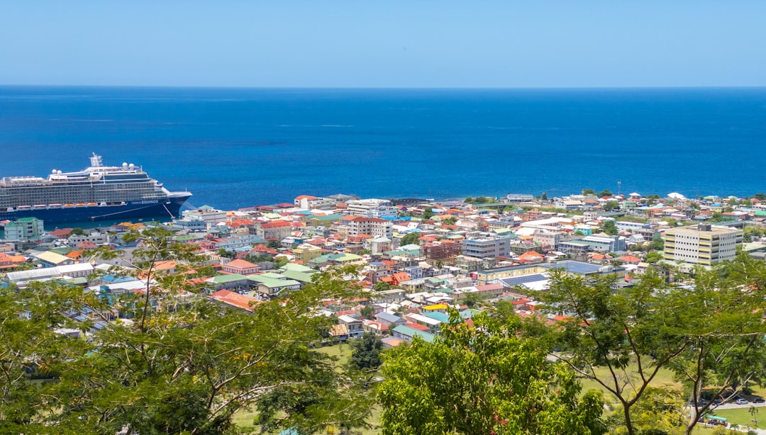 How to Use Local Delivery Apps in Dominica for Ultimate Convenience