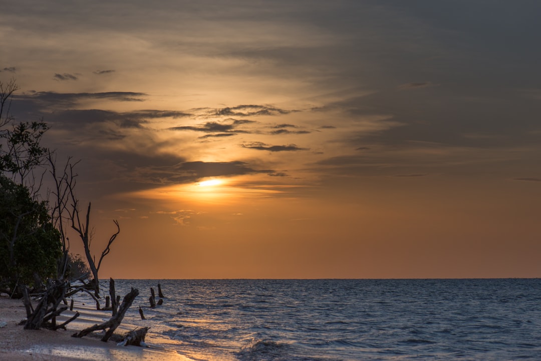 Uncorking Suriname: A Wine Lover's Unexpected Journey Beyond Traditional Vineyards