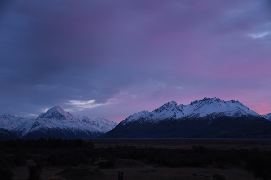 Navigating New Zealand's Public Transport: Your Essential App Guide