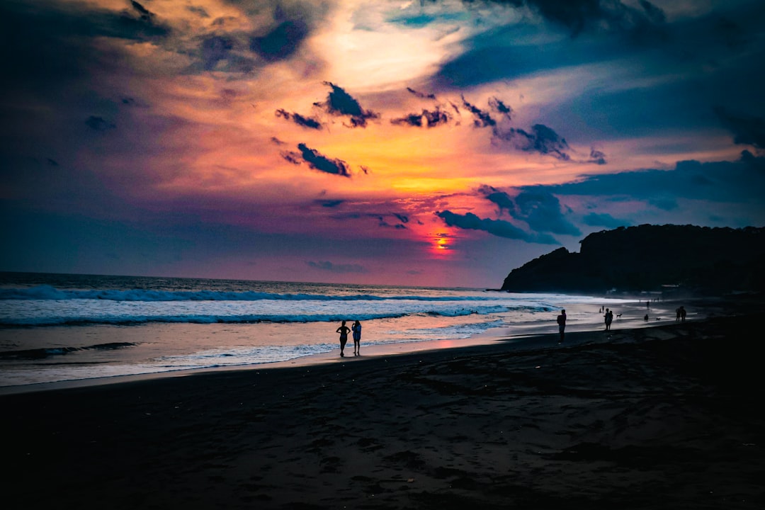 Discover El Salvador: Your Ultimate Guide to Whale & Dolphin Watching