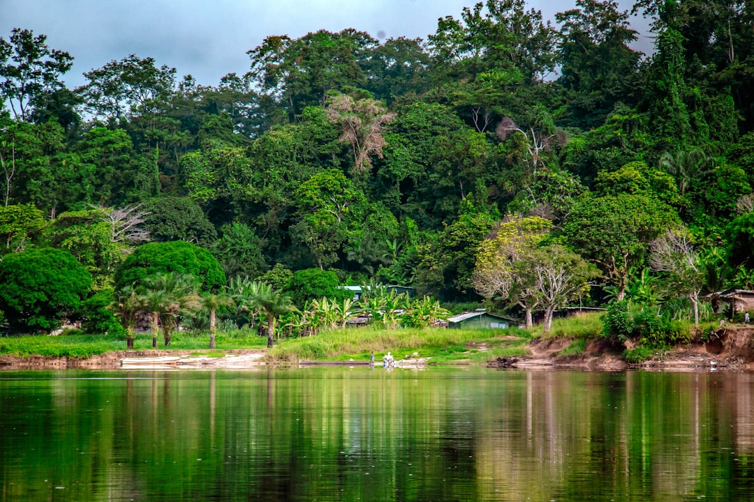 Gabon's Liquid Gold: Unveiling Traditional Drinks & Spirits